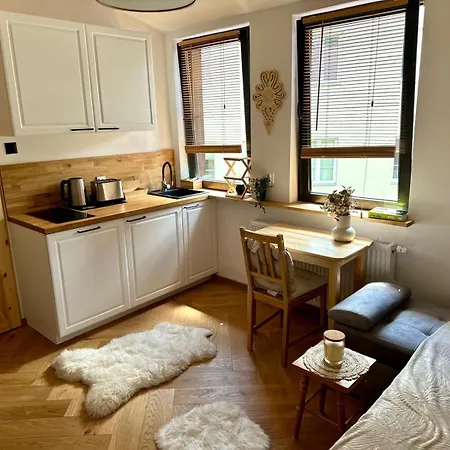 Studio Pod Gubalowka Apartzakop